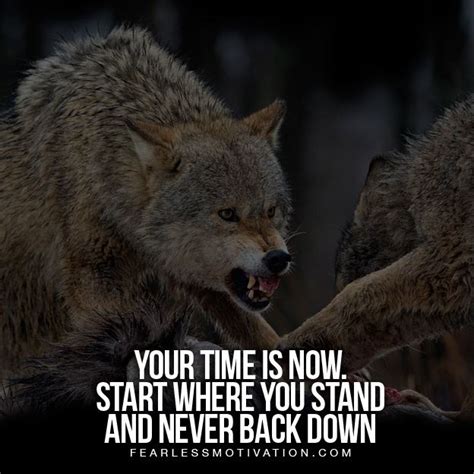 20 Strong Wolf Quotes To Pump You Up | Wolves & Wolfpack Quotes