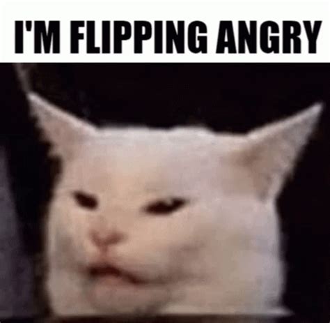 Cat Angry Cat GIF - Cat AngryCat Meme - Discover & Share GIFs