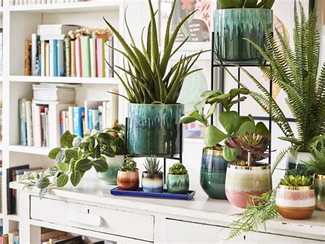 19 stylish indoor plant pots to suit every interior