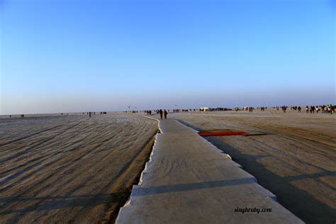 Rann Of Kutch : The White Salt Desert - Life and Its Experiments