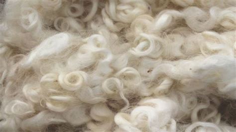 Fibre Guide: Wool | Dimensions