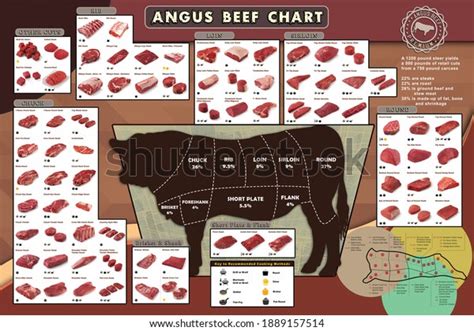 2,384 Beef Cuts Diagram Royalty-Free Images, Stock Photos & Pictures ...