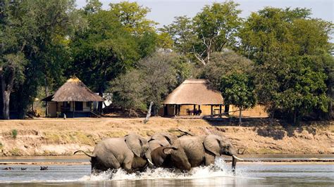 Why Zambia Should Be Your First Safari