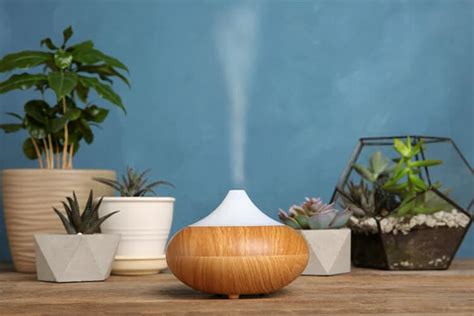 Best Humidifier For Plants in 2021 (Gardener's Choice)