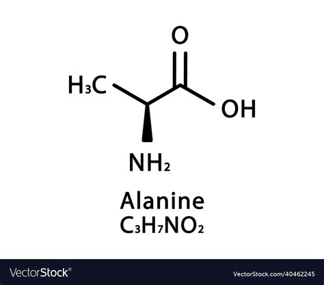 Alanine molecular structure skeletal Royalty Free Vector