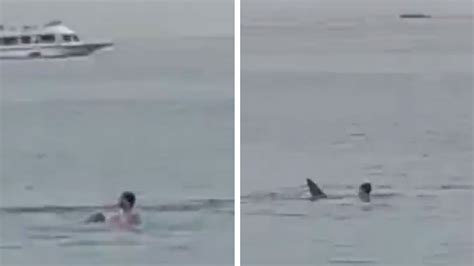 Horrifying Video Shows Man Killed in Shark Attack Off Coast of Egypt’s ...