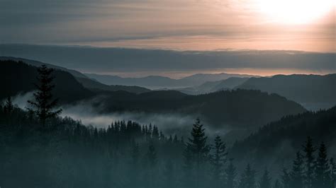 green trees #nature #landscape #trees #forest pine trees #mountains # ...