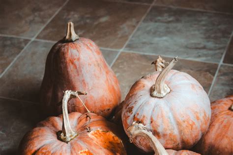 Download Rustic Fall Pumpkins On The Floor Wallpaper | Wallpapers.com