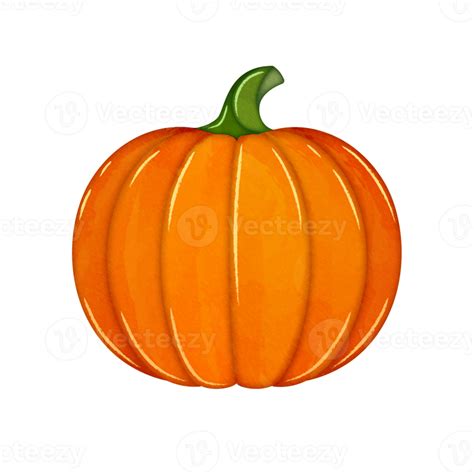 Cute watercolor pumpkin clipart 11190857 PNG