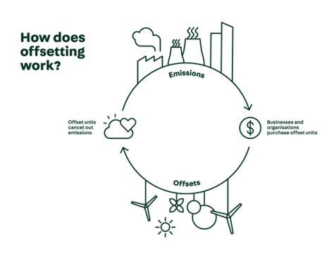 Why it's worth paying for verified carbon offsets