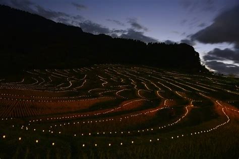 Oyama Rice Terraces (Kamogawa) - 2021 All You Need to Know BEFORE You ...