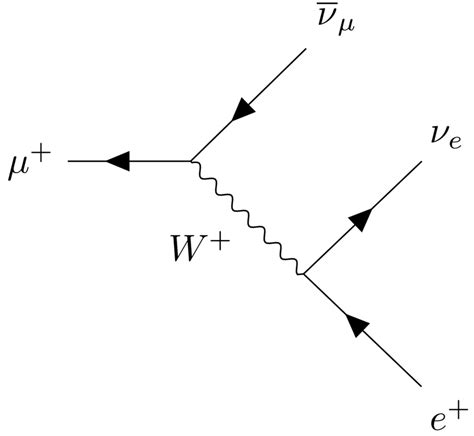 3: (a) Feynman diagram for the decay of a positive muon. (b) Helicity ...