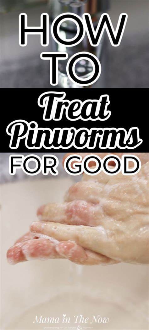 How to Treat Pinworms (Almost) Naturally - For Good in 2020 | How to ...