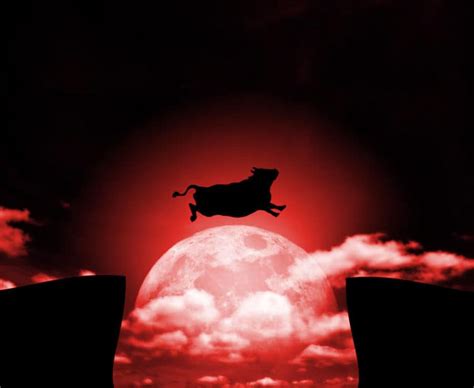 Lunar Eclipse in Taurus 2022 - and Tarot Readings for Each Zodiac Sign ...