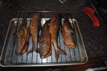 Smoked Cisco fish by Tdbill Brine: 1 qt of apple juice, 1 cup of kosher ...