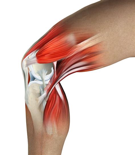 What Is Causing Your Knee Pain?