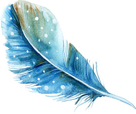 Feather Watercolor painting - feather png download - 1636*1380 - Free ...