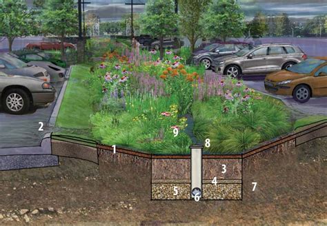 The Importance of Bioretention Systems | Bluegrass Lawncare