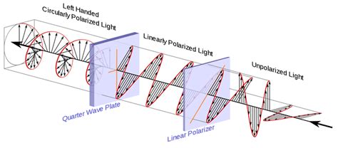 Polarization for 3D