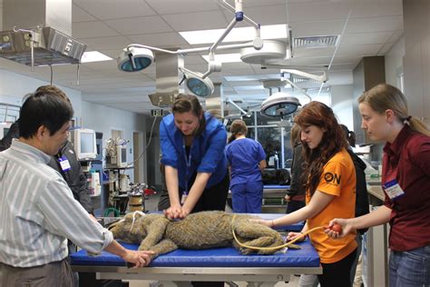 Hundreds of pre-vet students visit UF for symposium » The Veterinary ...