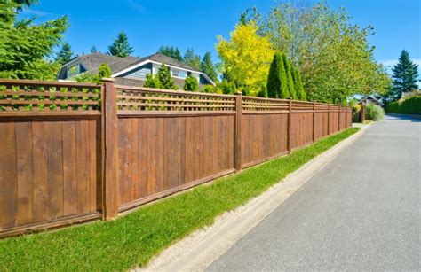 Best Fence to Keep Wild Bears Out of Your Yard » The Money Pit