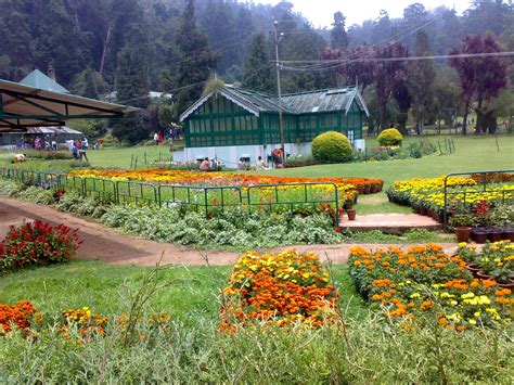 Ooty - Meet the Queen of Hills of India | India Tourism