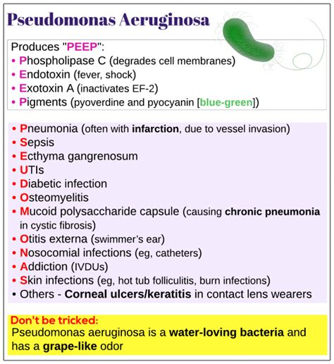 Pseudomonas aeruginosa - Medicine Keys for MRCPs