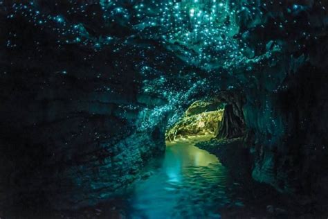 Waitomo Glowworm Caves underground black water rafting