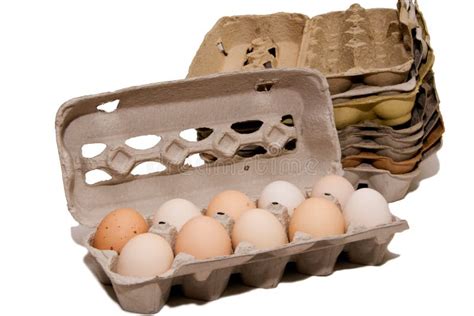 Fresh Eggs and Egg Cartons. Stock Photo - Image of cooking, container ...