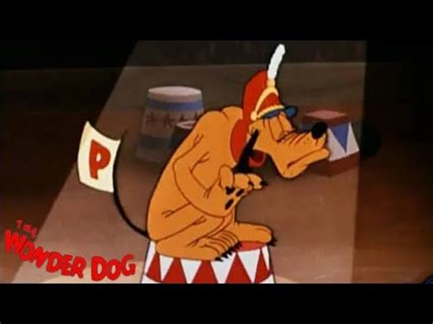 1950 04 07 Pluto Wonder Dog mp4 3gp flv mp3 video indir