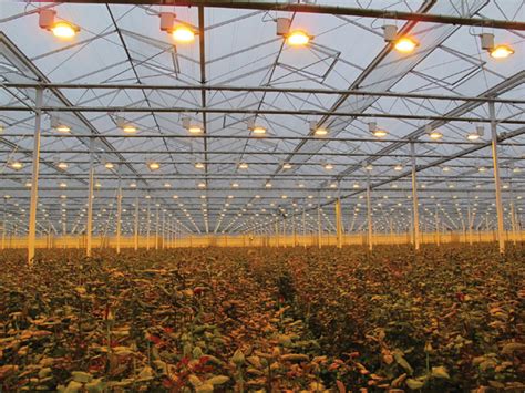 Lighting: The design phase - Produce Grower