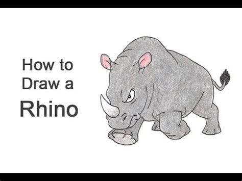 How to Draw a Rhinoceros (Cartoon) - YouTube