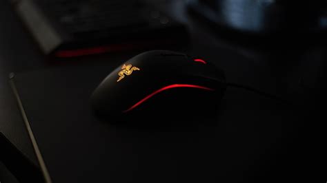 How to map side buttons on a gaming mouse? - Gamer today