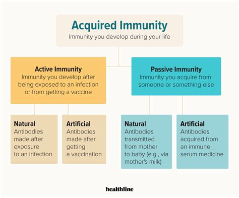 Is active immunity life long? – killerinsideme.com