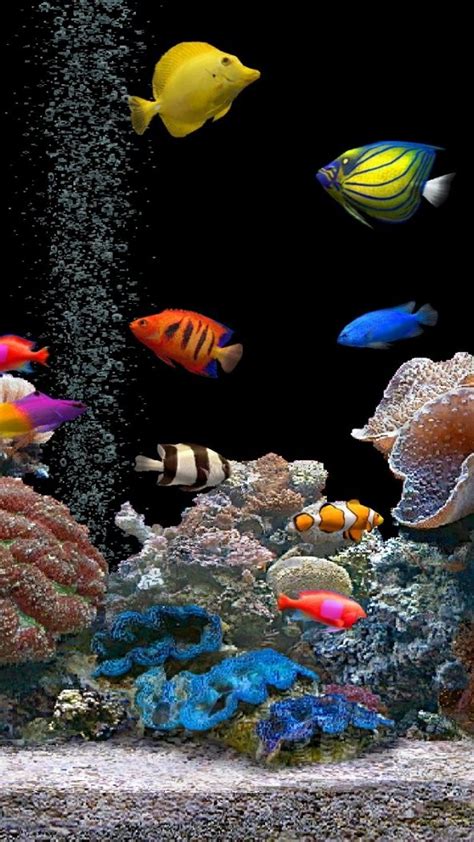 3D Aquarium Wallpaper (52+ images)