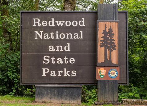 The Complete Guide to Visiting Redwood National Park - The Planet D