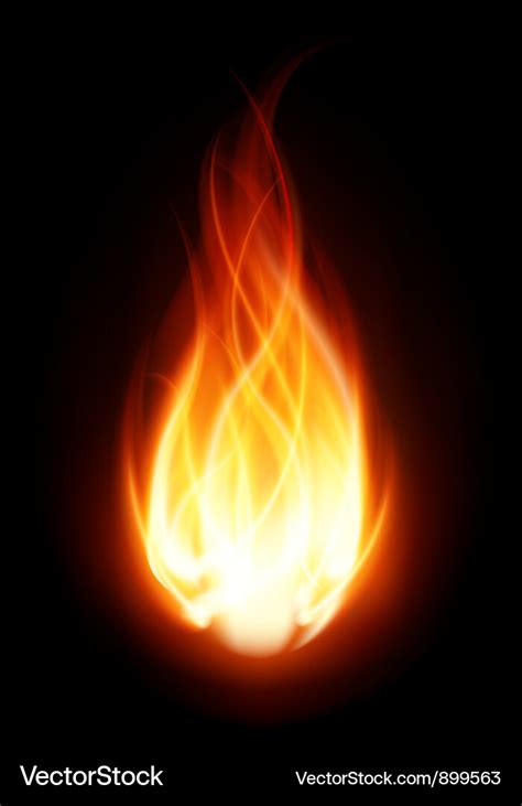 Burning flame fire background Royalty Free Vector Image