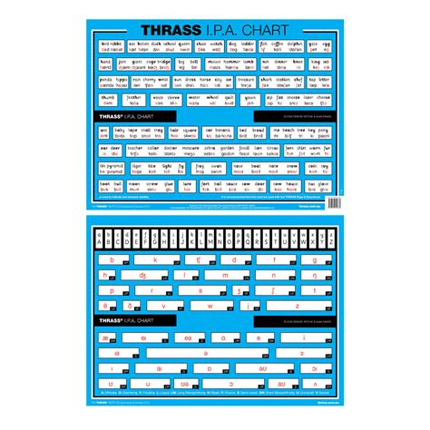 T-186 THRASS IPA CHART (Class Size) – TheTHRASSInstitute