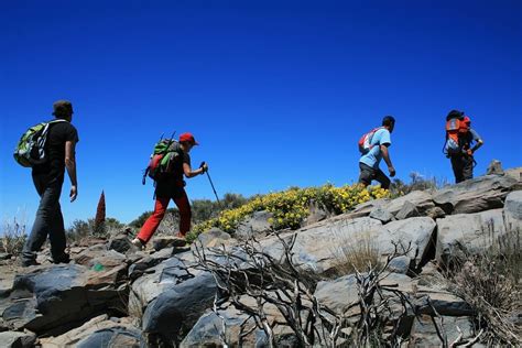 6 Best Hiking Trails In The Canary Islands │ CanaryStay