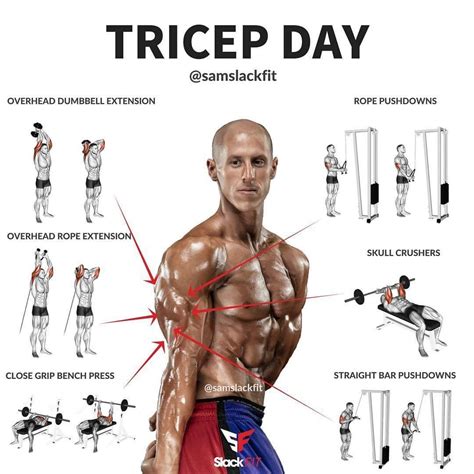 Triceps Workout Plan For Men, Weekly Workout Plans, Body Workout Plan ...