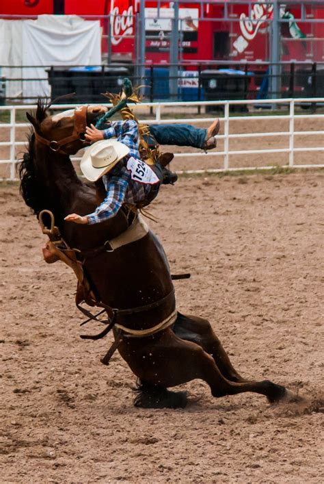 19 best Saddle Bronc Riding/Ranch Bronc Riding images on Pinterest ...