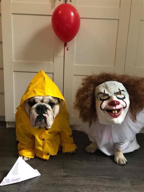 Pin by The Great British Bulldog on Bulldog Pics | Dog halloween ...