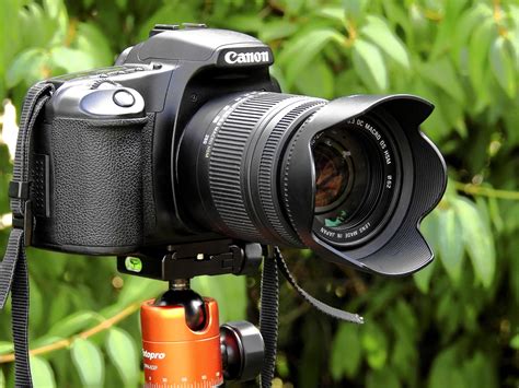 top 10 digital slr cameras | Digital SLR camera for beginners - Dynamic ...