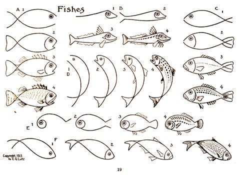 How To Draw A Fish Easy Step By Step at Drawing Tutorials