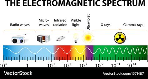 Electromagnetic spectrum diagram Royalty Free Vector Image