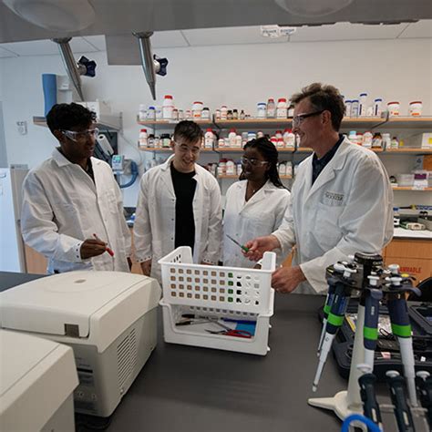 Biochemistry and molecular biology program earns accreditation with ...