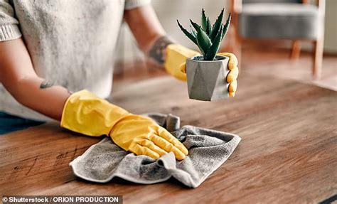 Why dusting with a dry cloth is damaging your furniture and potentially ...