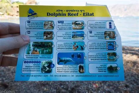 Dolphin Reef, Eilat - Visitors Guide with Vital Tips