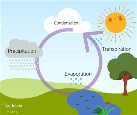 Water Cycle Diagram Simple