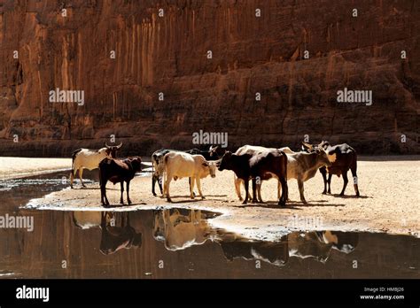 Ennedi plateau hi-res stock photography and images - Alamy